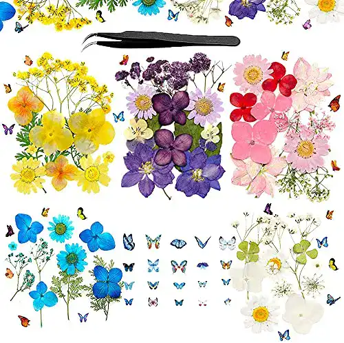 Getrocknete Blumen Jimiston Natürlich, DIY Gepresste Blumen