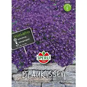 Blaukissen-Samen Sperli, Samen Blaukissen