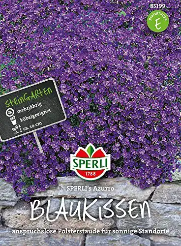 Die beste Blaukissen-Samen Sperli, Samen Blaukissen 2026 Test Bestseller Blaukissen-Samen Sperli, Samen Blaukissen