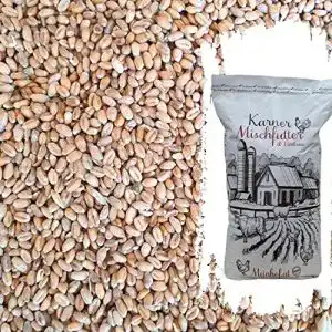 Futterweizen Karner Bio Geflügelfutter Bio Weizen, 25 kg Sack