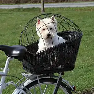 Hundefahrradkorb hinten PaylesswithSS Fahrradkorb für Haustiere