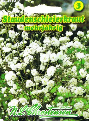 Schleierkraut-Samen Chrestensen Staudenschleierkraut weiß