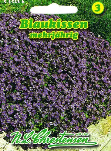 Blaukissen-Samen Chrestensen Blaukissen ‘Aubrieta cultorum’