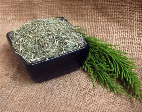 Schachtelhalmtee Naturix24, Schachtelhalm geschnitten, 1 Kg