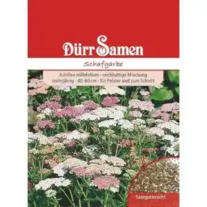 Schafgarbe-Samen Dürr-Samen Edelgarbe Schafgarbe Mischung