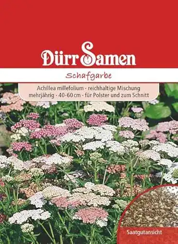 Schafgarbe-Samen Dürr-Samen Edelgarbe Schafgarbe Mischung