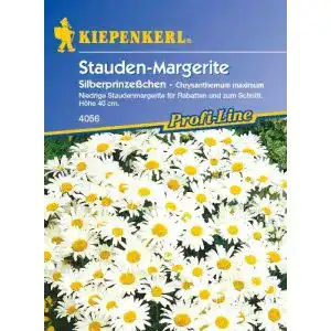 Chrysanthemen-Samen Kiepenkerl Staude, ‘Silberprinzesschen’