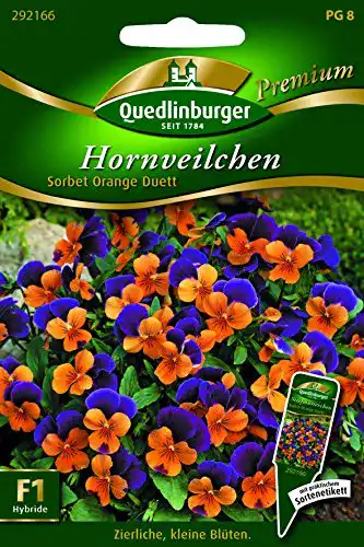 Hornveilchen-Samen Quedlinburger Hornveilchen Sorbet Orange Due