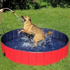 Hundepool groß lionto by dibea Faltbarer Hundepool, 160cm Ø