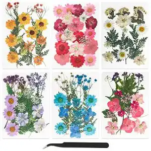 Getrocknete Blumen FHzytg 109 Stück Gepresste Blumen