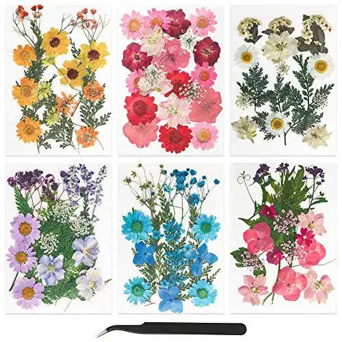 Getrocknete Blumen FHzytg 109 Stück Gepresste Blumen