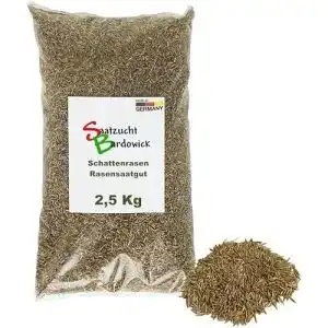 Schattenrasen-Samen Saatzucht Bardowick Rasen 2,5kg