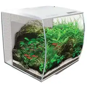 60-Liter-Aquarium Fluval Flex Aquarium 57L, Süßwasser Aquarium