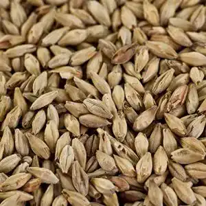 Braumalz Weyermann 1 kg Münchner Malz 2 für Dunkles Bier EBC