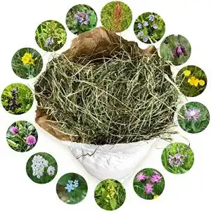 Wiesenheu Jumbogras Heu 1. Schnitt – Qualitäts-Kleintier-Futter