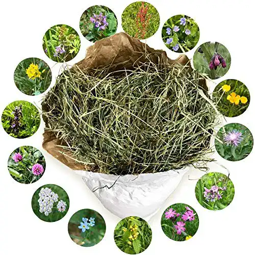 Wiesenheu Jumbogras Heu 1. Schnitt – Qualitäts-Kleintier-Futter