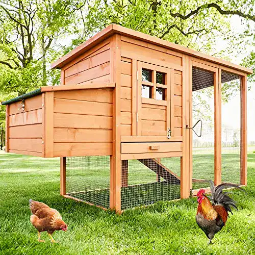 Hühnerstall zooprinz großer mit Nistkasten, Vollholz