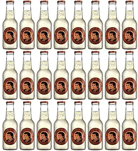 Ginger-Beer Thomas Henry Spicy Ginger 24 x 0,2 Liter