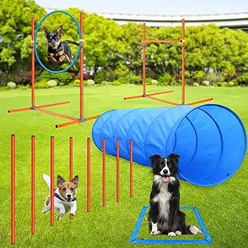 Agilitygeräte Aystkniet Agility Set Hunde 5 Set
