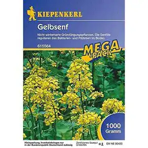 Senf-Samen Kiepenkerl, Gründünger Gelbsenf 1 Kg