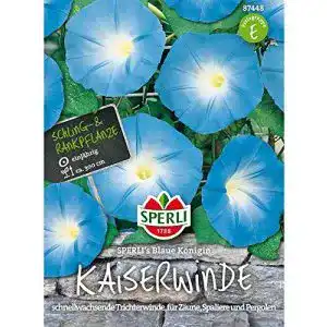Prunkwinde-Samen Sperli Prunk- oder Trichterwinde Blau