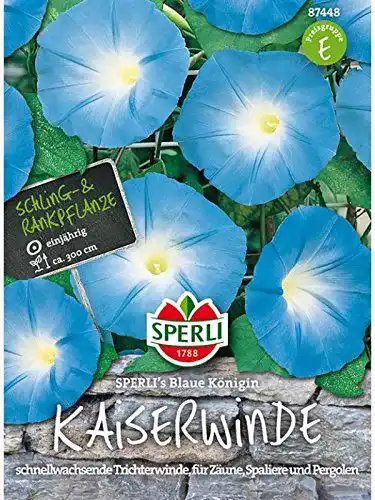 Prunkwinde-Samen Sperli Prunk- oder Trichterwinde Blau