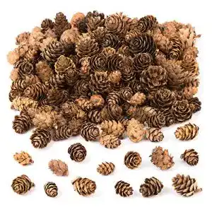 Tannenzapfen Baker Ross AC492 Lärchenzapfen Vorteilspack 250 g