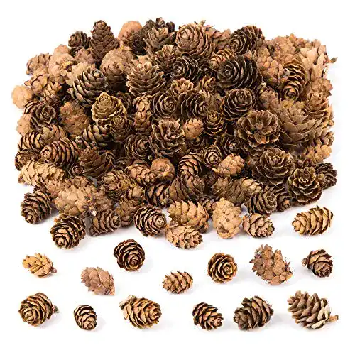 Tannenzapfen Baker Ross AC492 Lärchenzapfen Vorteilspack 250 g