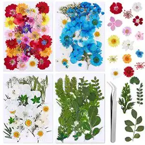 Getrocknete Blumen Vacoulery 134 Stück Echt Getrocknete