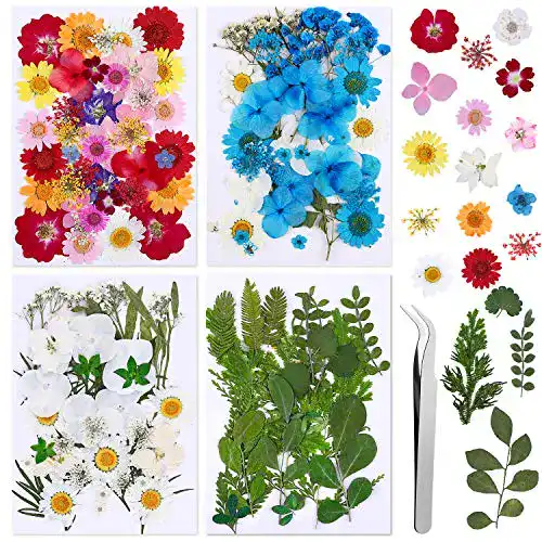 Getrocknete Blumen Vacoulery 134 Stück Echt Getrocknete
