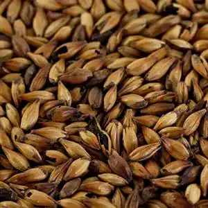 Braumalz Weyermann 1kg Caramelmalz Caraaroma® für Braunbiere EBC