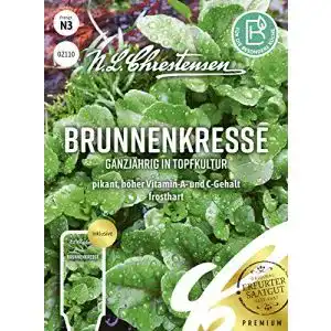 Kressesamen N.L.Chrestensen Brunnenkresse ganzjährig