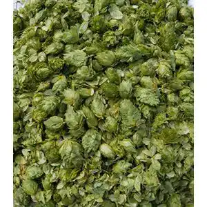 Hopfenblüten HopCol Naturhopfen Hopfen aus der Hallertau
