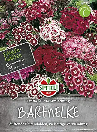 Bartnelken-Samen Sperli Bartnelke Prachtmischung