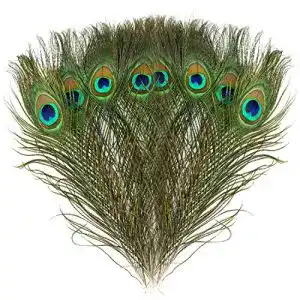 Pfauenfeder MWOOT 15 stücke Schöne Natürliche, Pfau