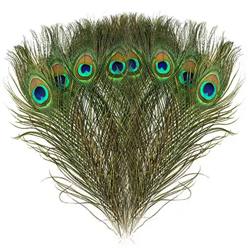 Pfauenfeder MWOOT 15 stücke Schöne Natürliche, Pfau