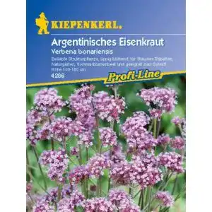 Eisenkraut-Samen Kiepenkerl Argentinisches Eisenkraut