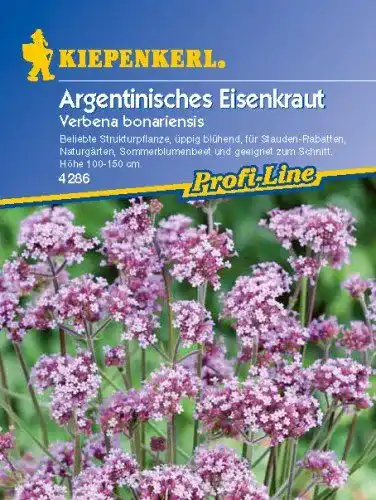 Eisenkraut-Samen Kiepenkerl Argentinisches Eisenkraut