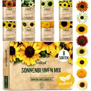 Sonnenblumen-Samen valeaf Sonnenblumen Samen Set, 8 Sorten