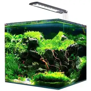 60-Liter-Aquarium Amtra Nanotank Cube System 60