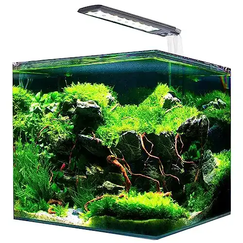 60-Liter-Aquarium Amtra Nanotank Cube System 60