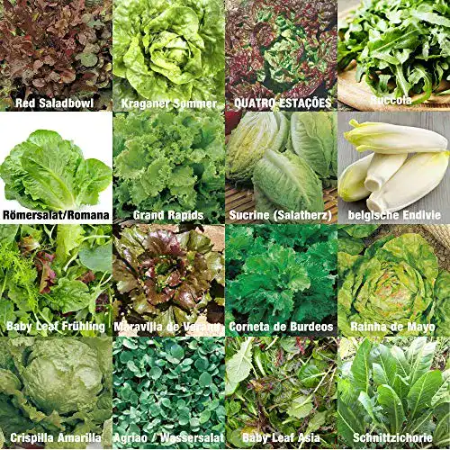 Salat-Samen prademir Salate Saat 16 x 100 Saatgut Salat Mix