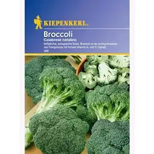 Brokkoli-Samen Kiepenkerl Brokkoli Calabrese natalino