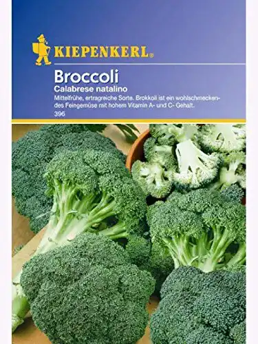 Brokkoli-Samen Kiepenkerl Brokkoli Calabrese natalino