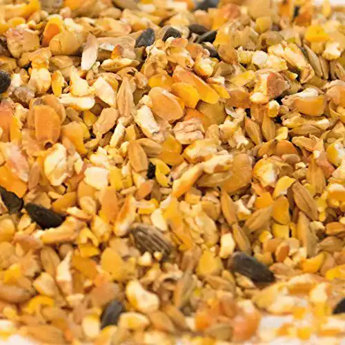 Entenfutter Karner Mischfutter Karner Bio Entenkorn 25kg Sack