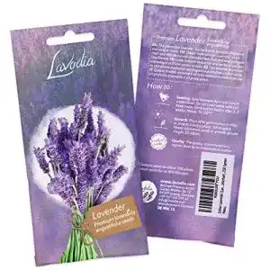 Lavendel-Samen LAVODIA Lavendel Samen: für ca. 100 Pflanzen