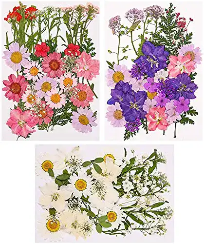 Getrocknete Blumen Veraing 105 Stück Natürlich, gemischt