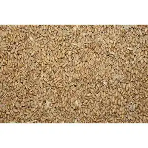 Futterweizen FutterXL 25 kg Weizen, direkt vom Landwirt