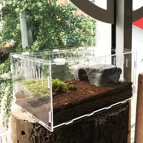 Paludarium Vinnykud Mini Terrarium Transportbox, aus Acryl